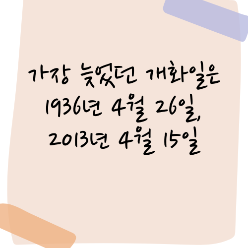 벚꽃 개화가 가장 늦었던 해