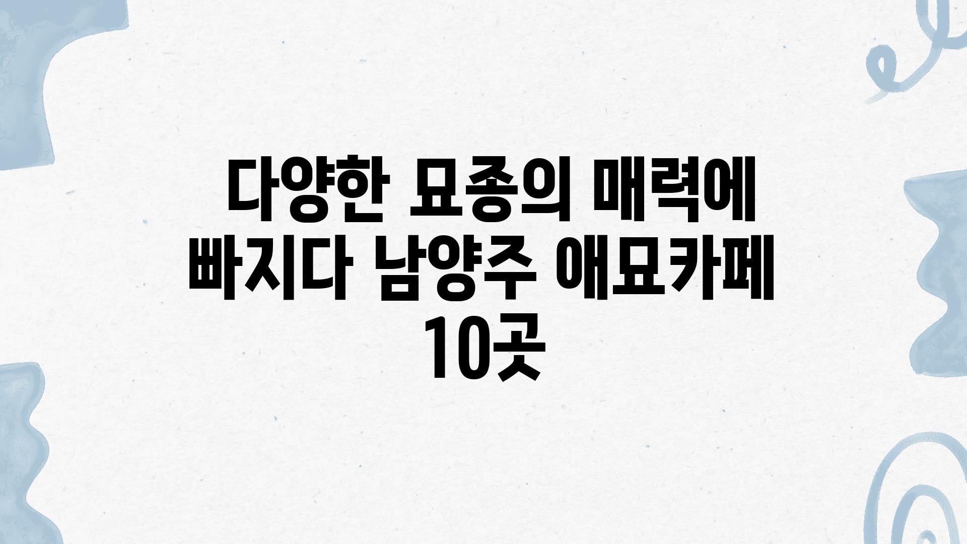  다양한 묘종의 매력에 빠지다 남양주 애묘카페 10곳