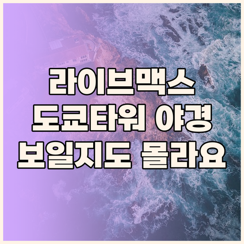 도쿄 니혼바시 라이브맥스 호텔.. 여