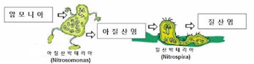 질화