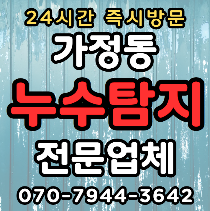 서구 가정동 아파트, 빌라, 상가 누수1