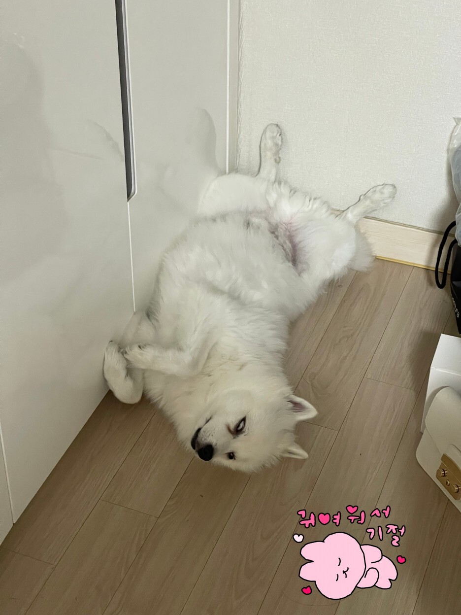 간식랜드 이미지