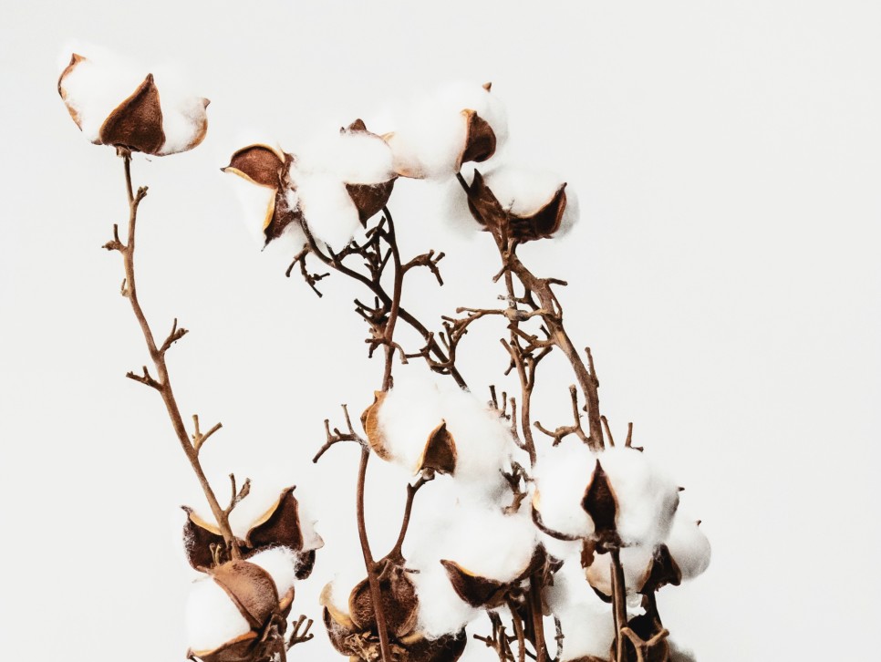 가능소득 계산방법 지급액 2020 근로장려금 자격요건 기한후 신청 3