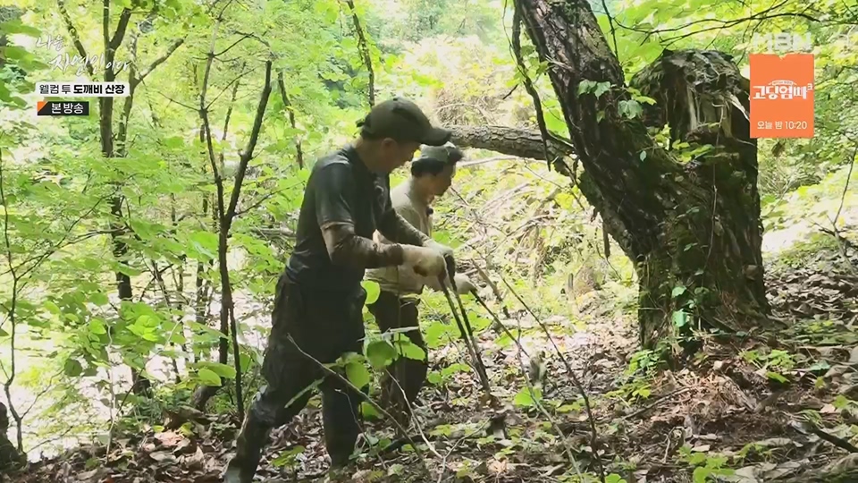 나는 자연인이다.E563.230719p.H264-F1RST.mp4_20230720_214643.389.jpg