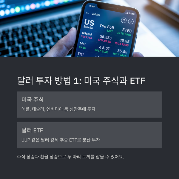 미국 주식으로 달러 자산 늘리기