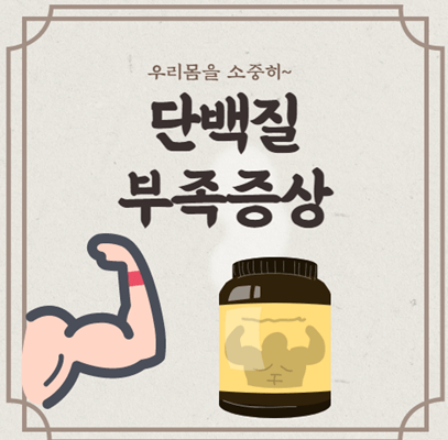  단백질 부족 증상 간단정리