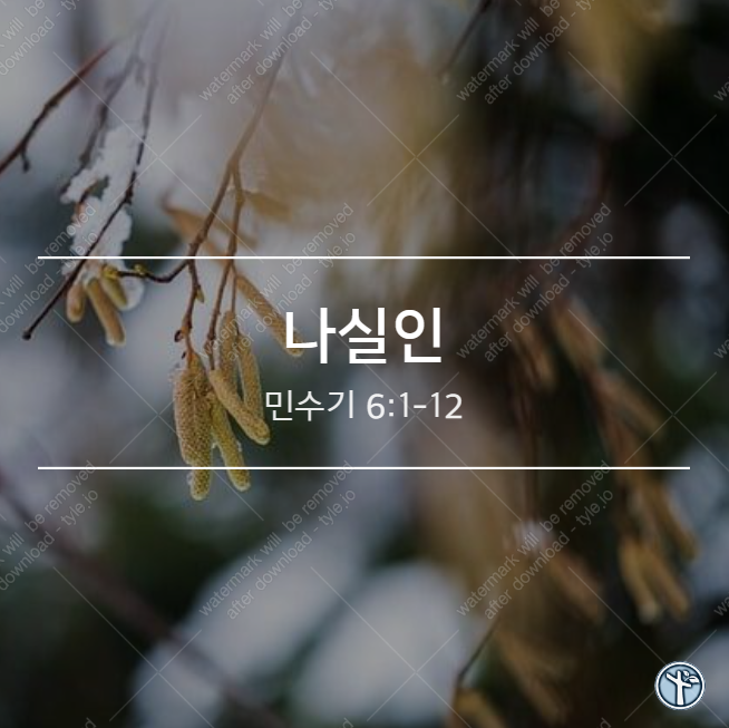  나실인