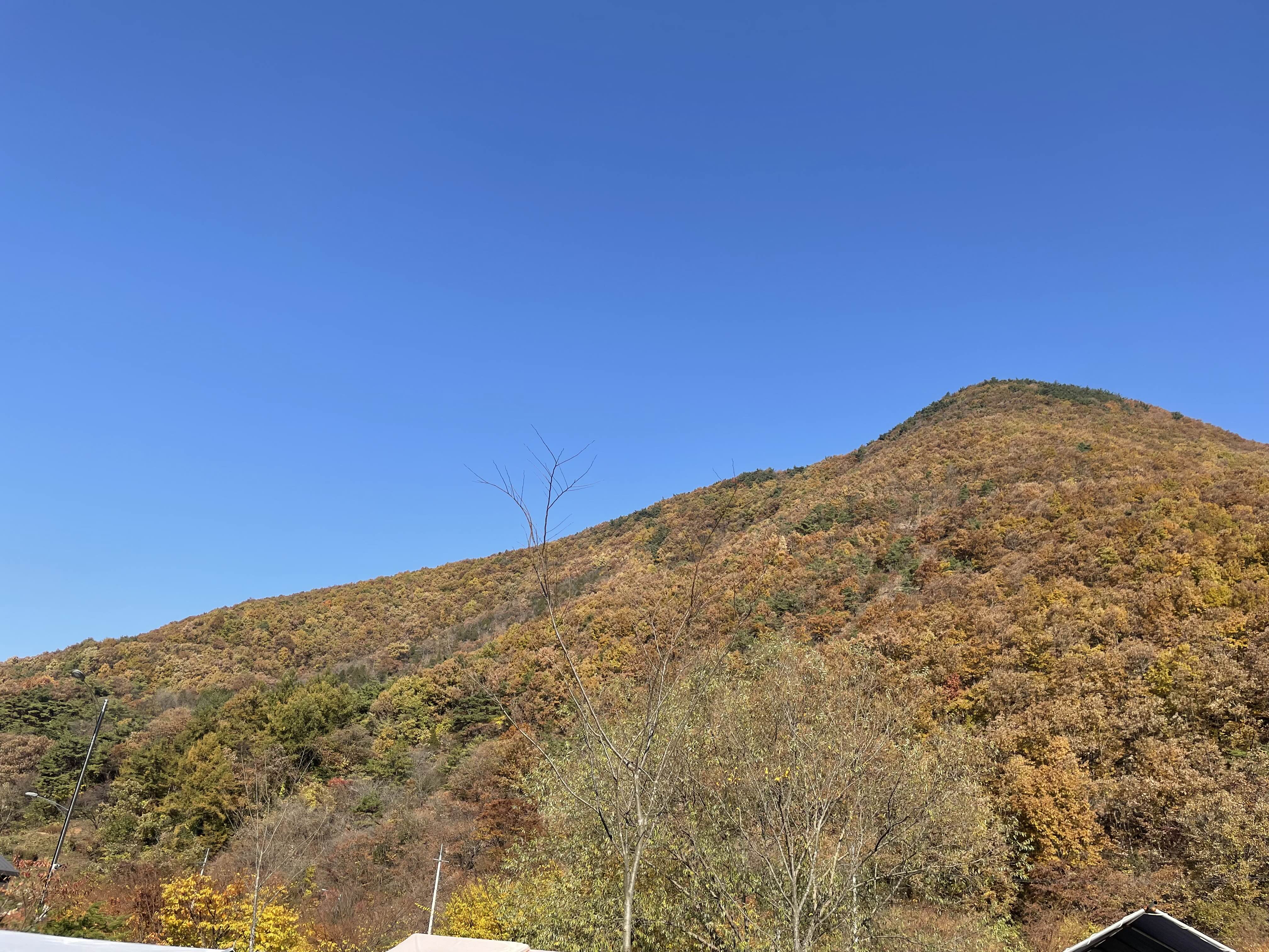 etc-image-5