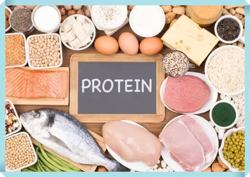 저지방 단백질 음식