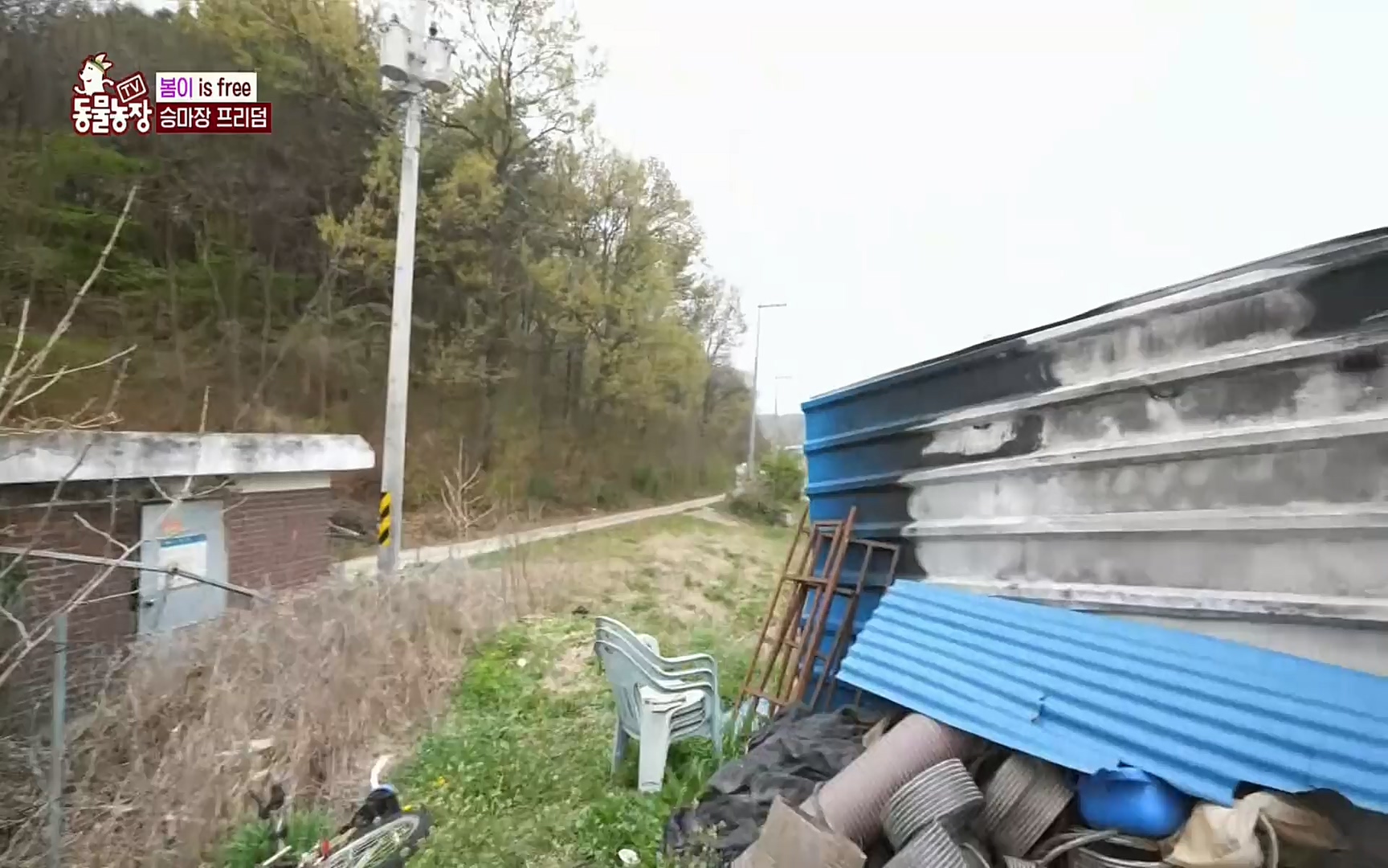 TV 동물농장.E1069.220515p.H264-F1RST.mp4_20220515_181234.447.jpg