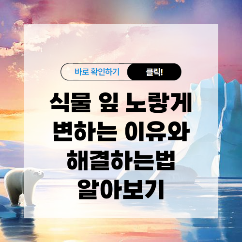 식물 잎 노랗게 변하는 이유와 해결하는법 알아보기