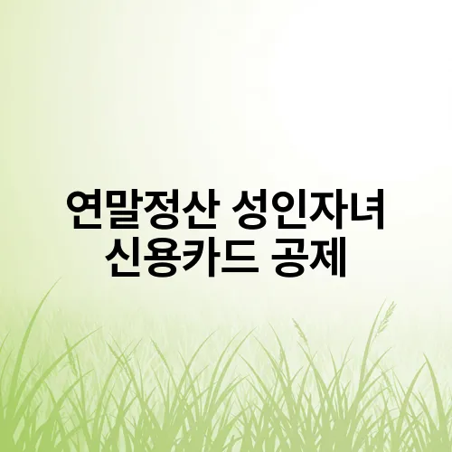 연말정산 성인자녀 신용카드 공제