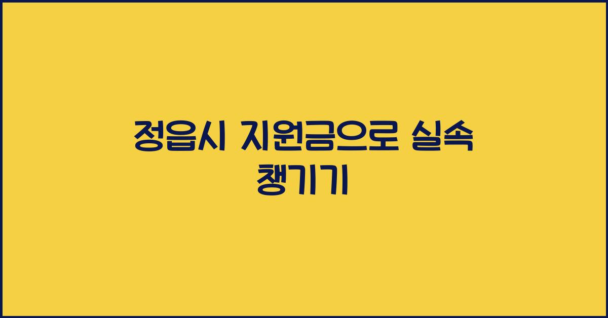 정읍시 지원금