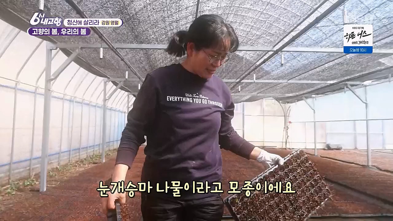 6시 내고향.E7751.230324p.H264-F1RST.mp4_20230324_205559.323.jpg