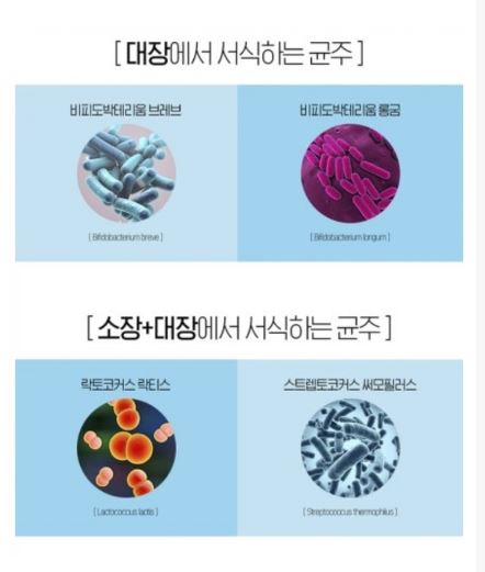  프로바이오틱스 유산균  효능 및 부작용,고르는법