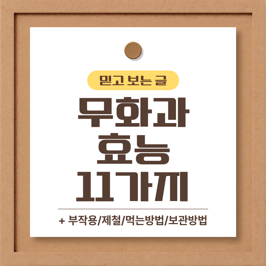 무화과 효능