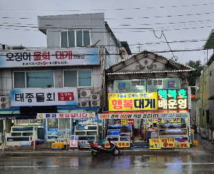 구룡표 물회 맛집 행복대게