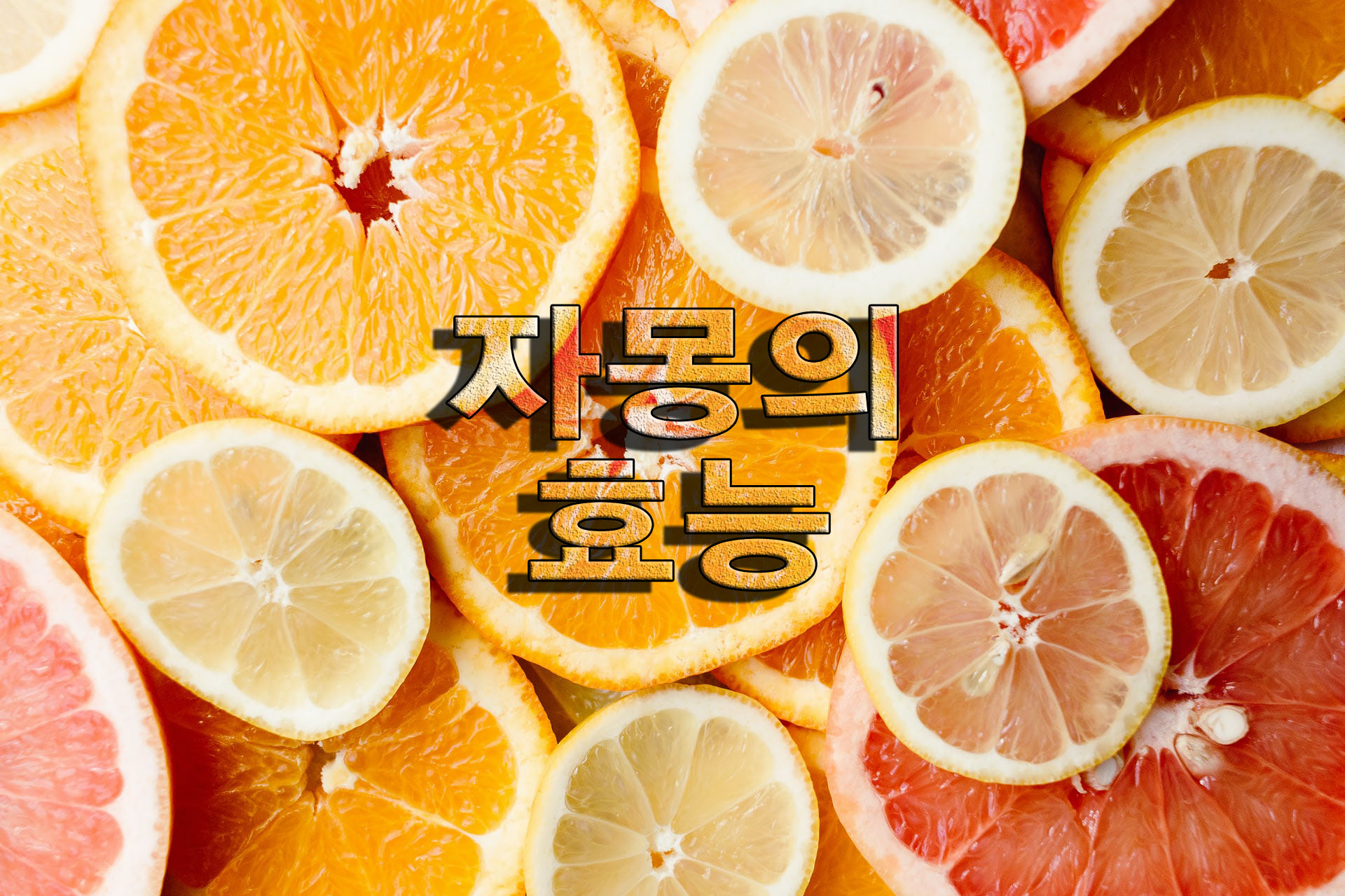  비타민C의 여왕! 자몽의 효능 및 부작용