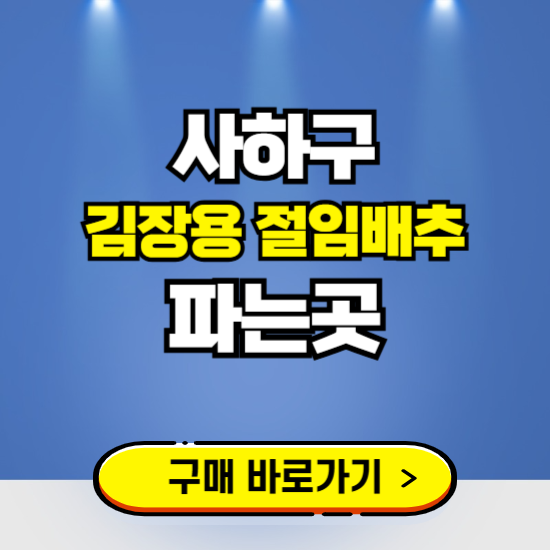 사하구 절임배추 사전예약 구입하는곳 ❘ 김장배추 파는곳 가격보기