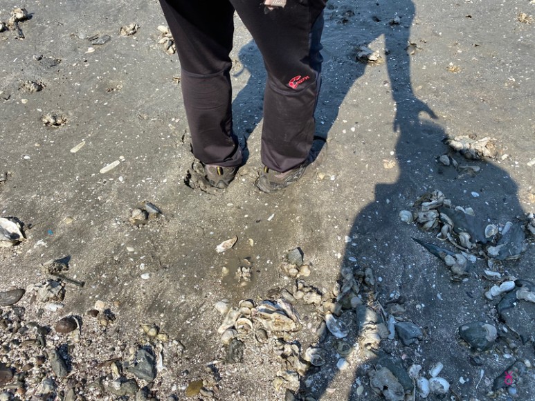 가고싶은 섬 가고싶은섬, 꼬막길과 뻘배길이 2