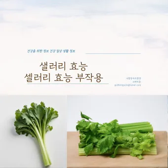 셀러리 먹는법 주스 효능_8