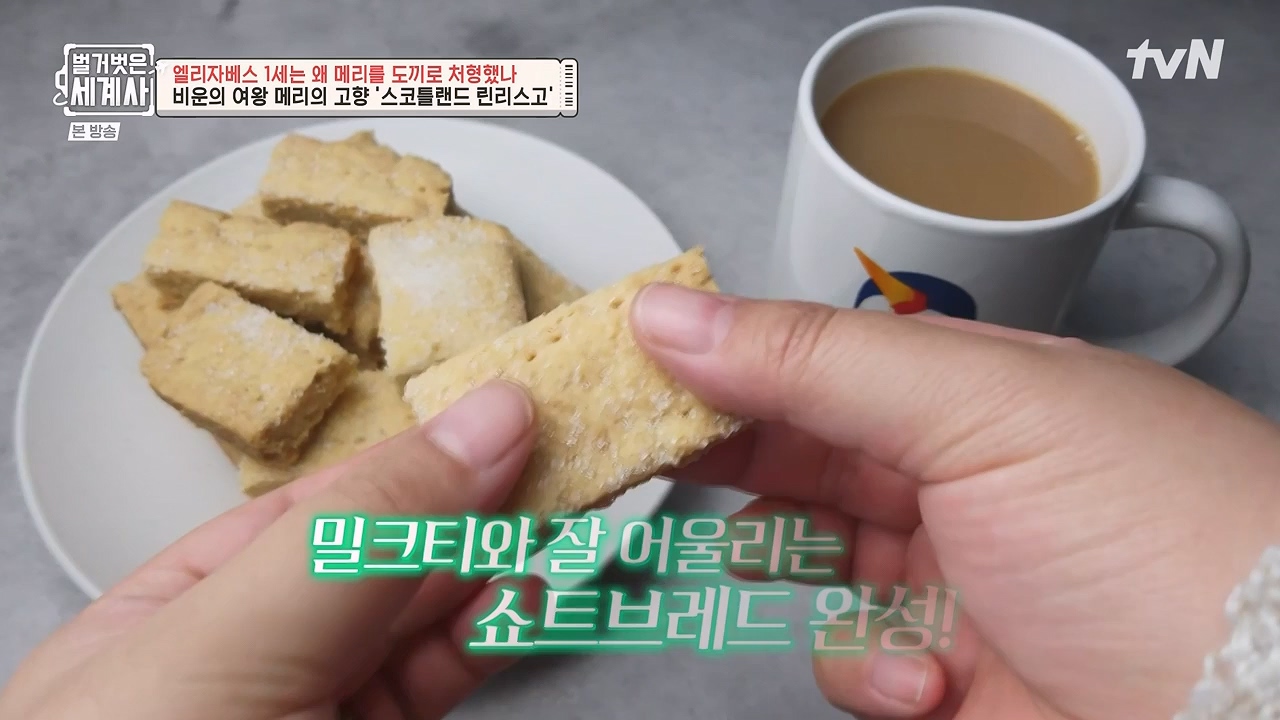 벌거벗은 세계사.E126.231122p-NEXT.mp4_20240607_210246.343.jpg