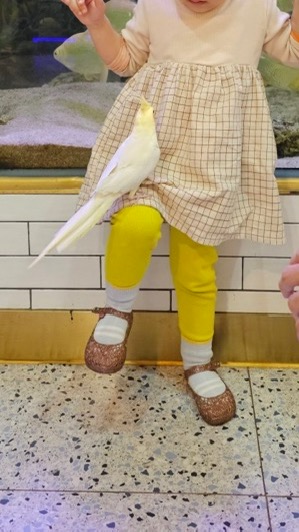 아쿠아파크 이미지