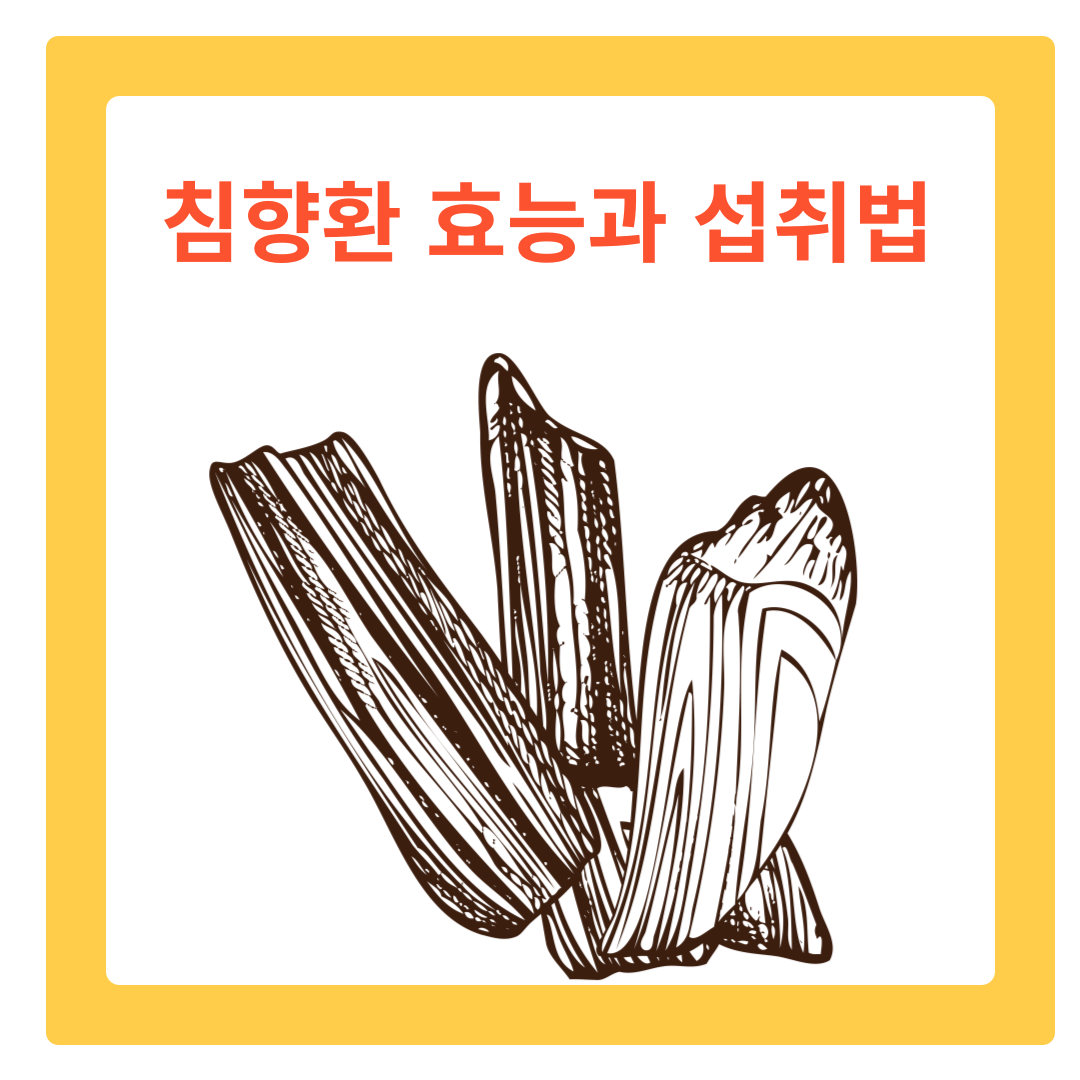 침향환 효능과 안전한 복용법