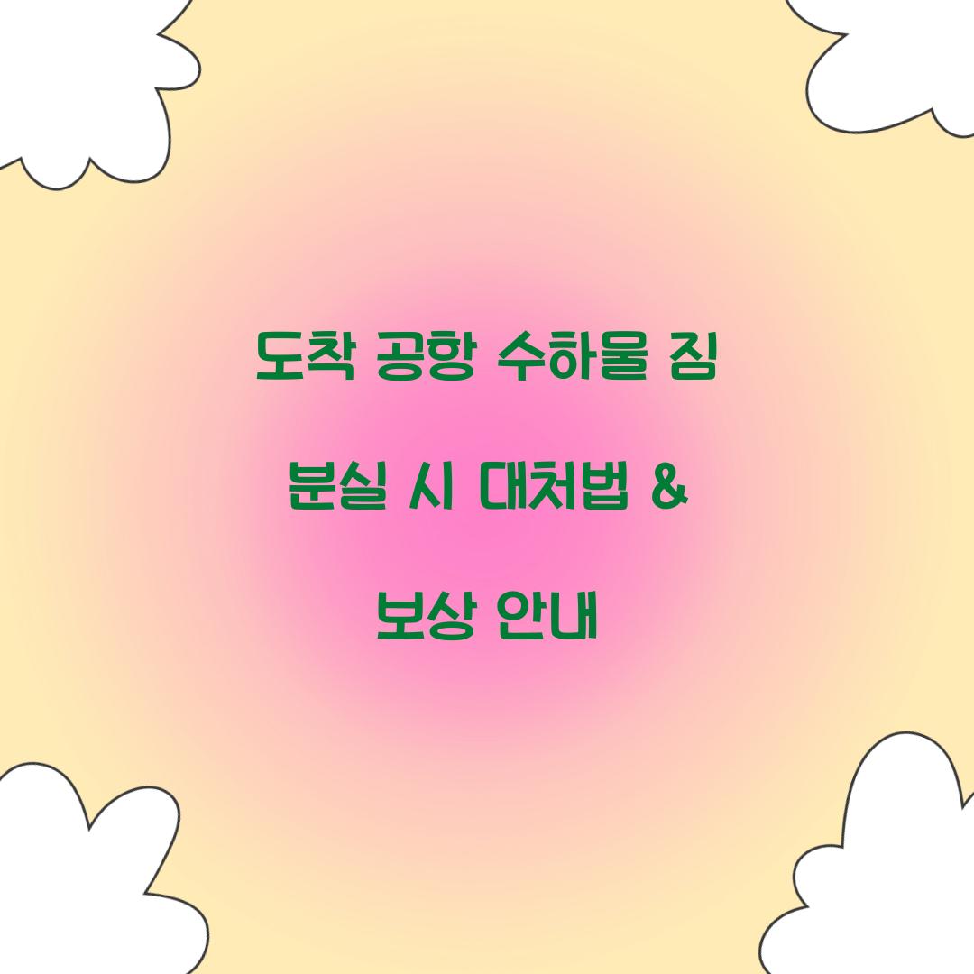 도착 공항 수하물 짐 분실