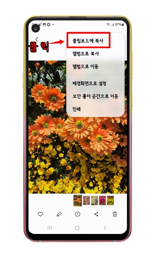 더 보기 후 나오는 팝업창의 클립보드에 복사 위치