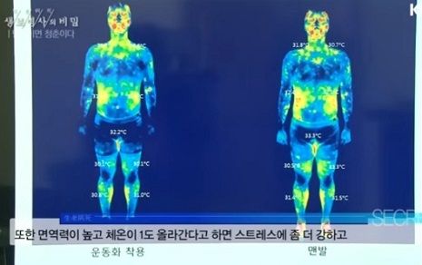 맨발걷기장점