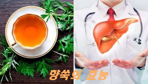  향쑥의 9가지 효능