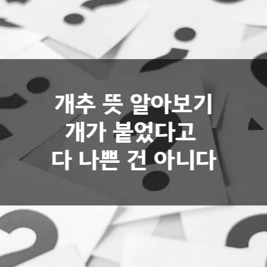 개추 뜻 알아보기, 개가 붙었다고 다 나쁜 건 아니다