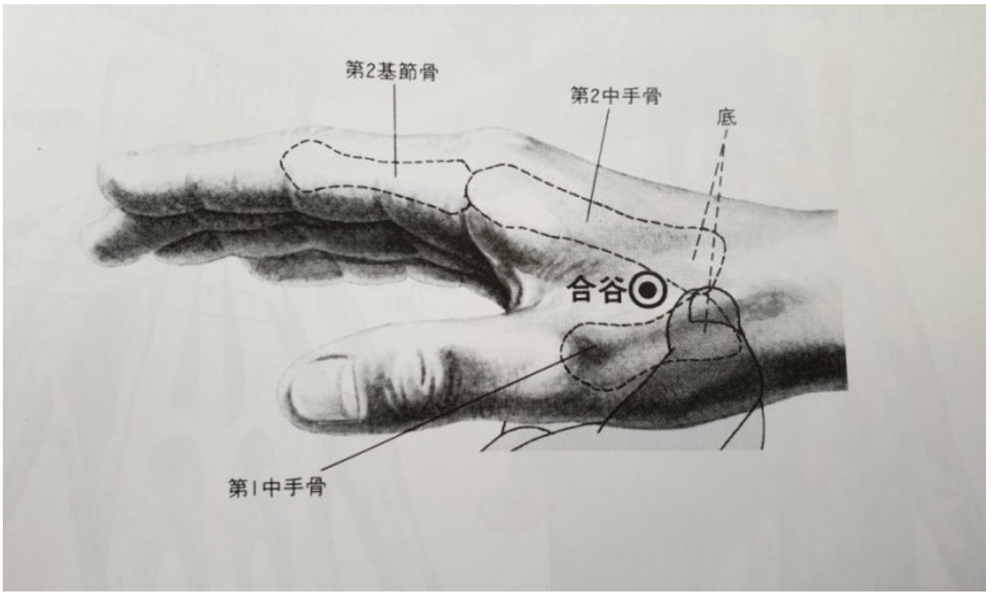 합곡혈
