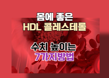 몸에 좋은 HDL 콜레스테롤 수치 높이는 7가지 방법