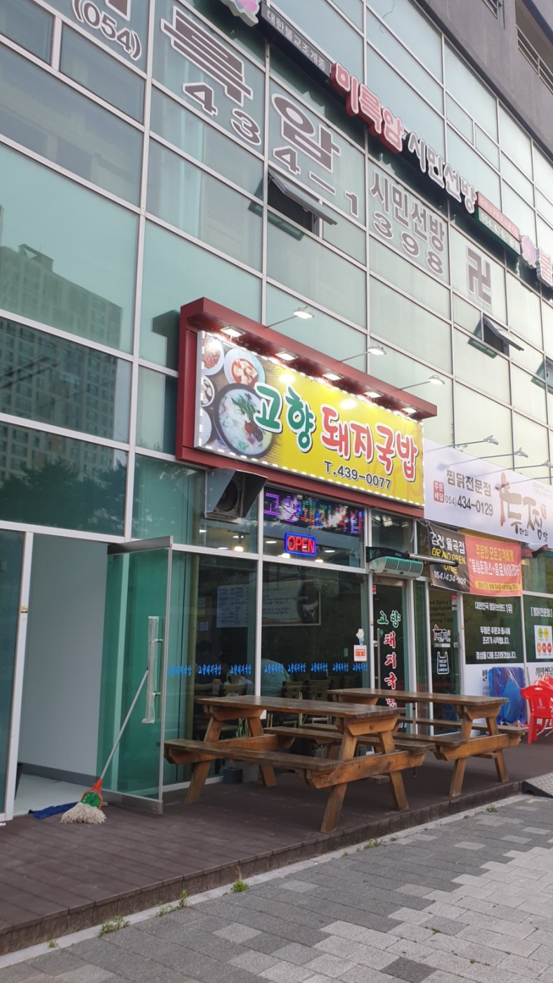 고향돼지 이미지