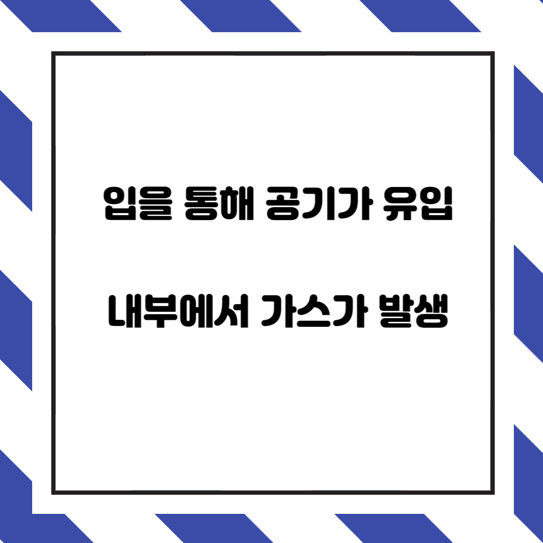  배에 가스가 차는 원인과 가스 배출을 도와주는 방법