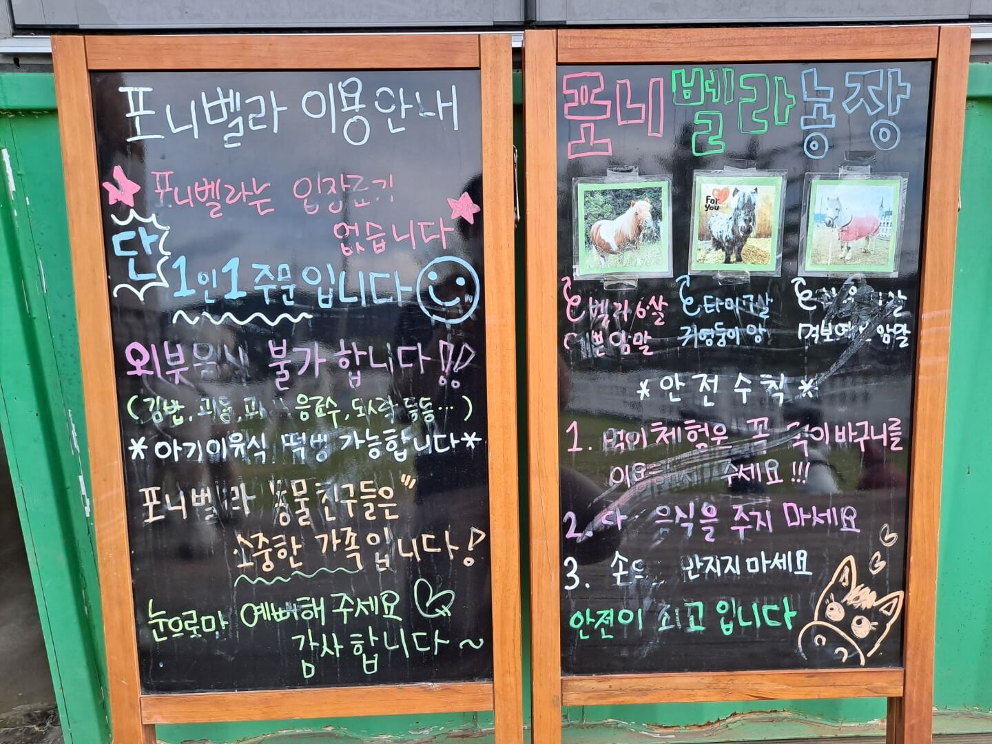  천안 가볼만한 카페 포니벨라, 귀여운 조랑말과 오리들이 있는 곳!