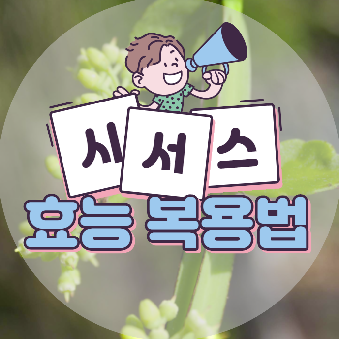  시서스 가루 효능, 복용법 그리고 주의할 점!!