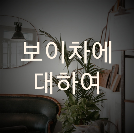  보이차에 대하여 알아보자