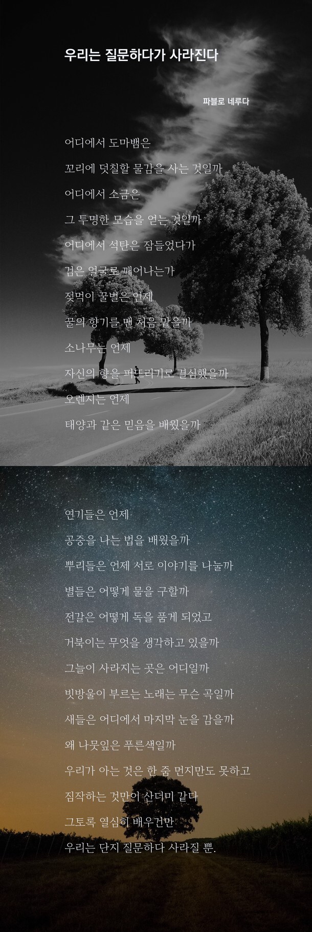 파블로 네루다 - 내 생에 최고의 시인이다 - 질문의 책에 나온 명시