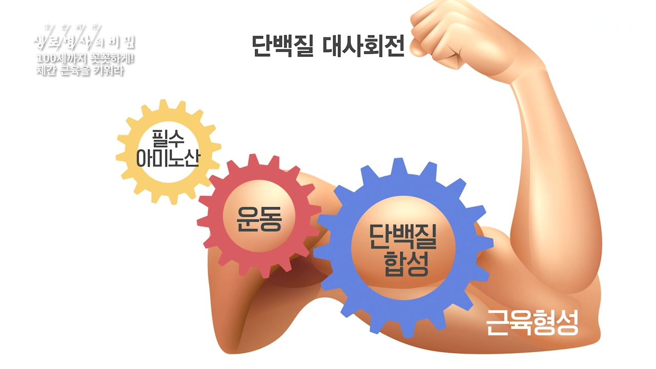 생로병사의 비밀.E885.231012p-NEXT.mp4_20231012_202958.658.jpg