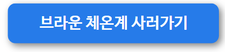 브라운 체온계 아이콘