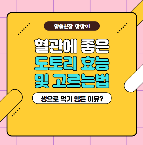  도토리 효능 및 먹는법, 고르는법 정리