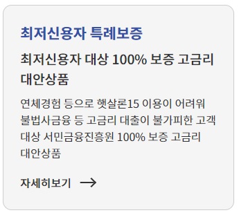 저신용자 정부지원 대출