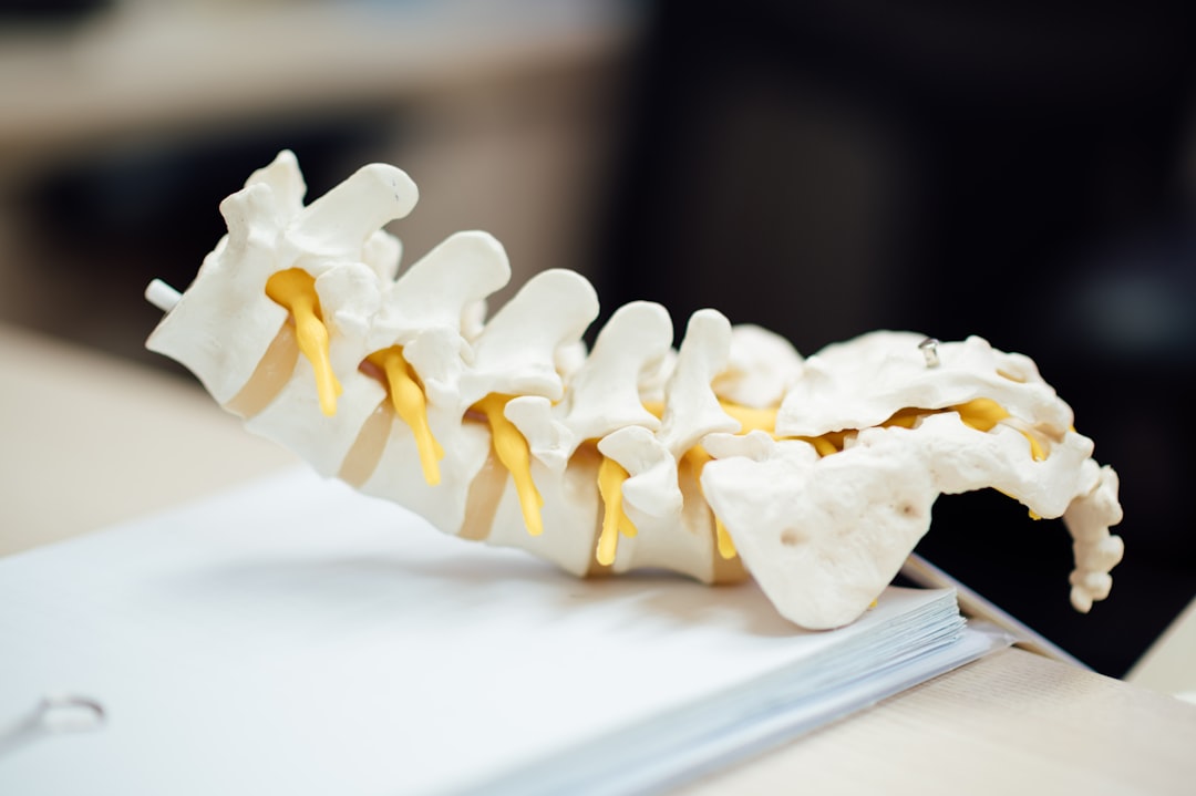 Spinal cord