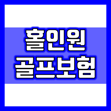  홀인원골프보험 비교, 축하파티 축하라운딩 비용부터 골프채 파손 수리비 보장까지 매력적인 홀인원보험 추천 받으세요!