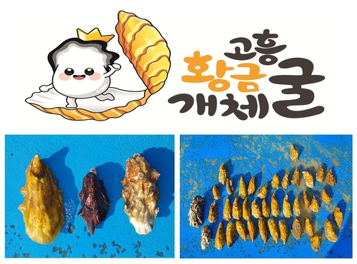고흥황금개체굴 상표