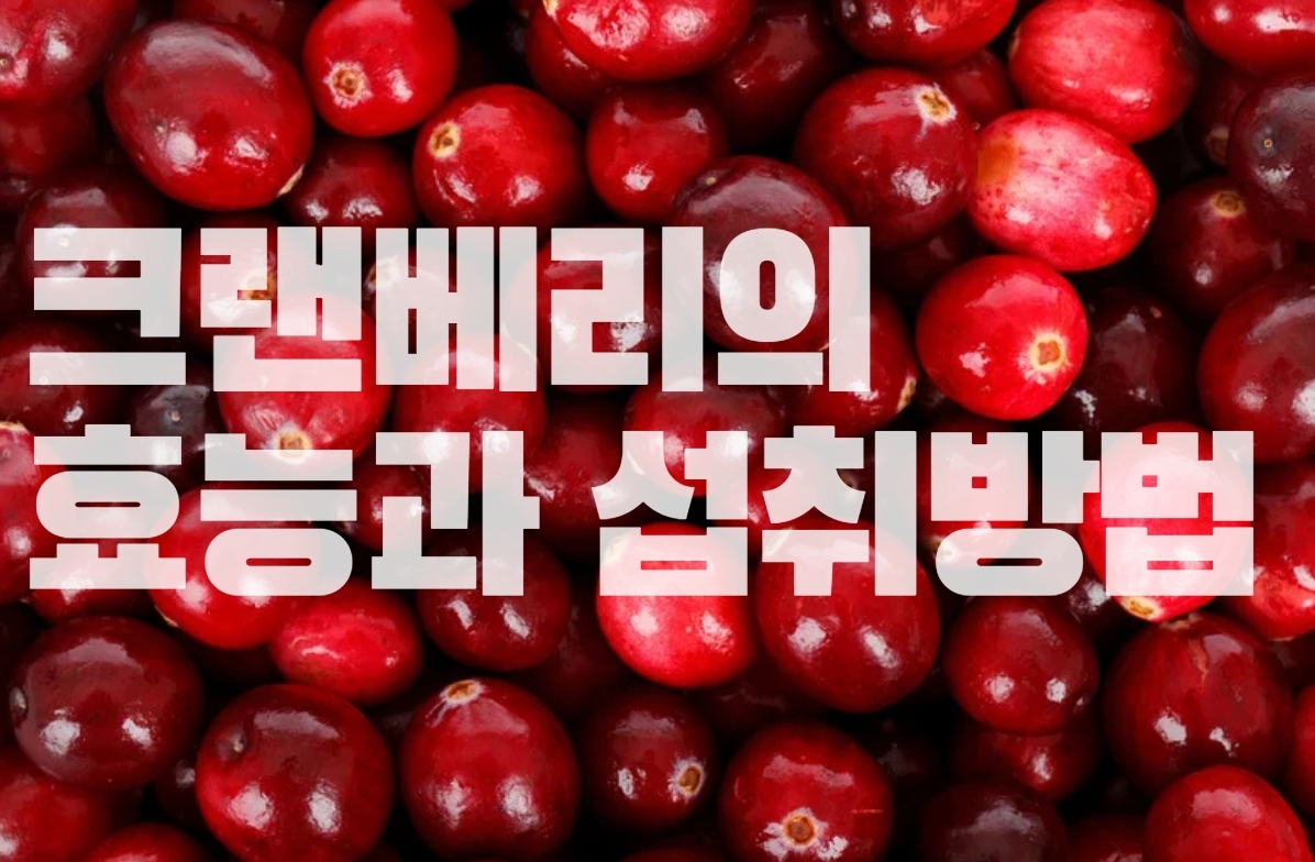  요로건강에 좋은 크랜베리의 효능, 부작용, 섭취하는 방법에 대해