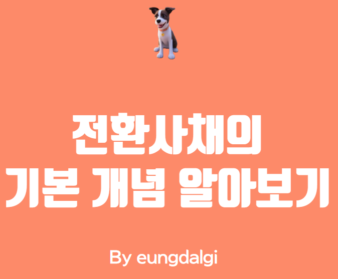  전환사채에 대한 정보성 글